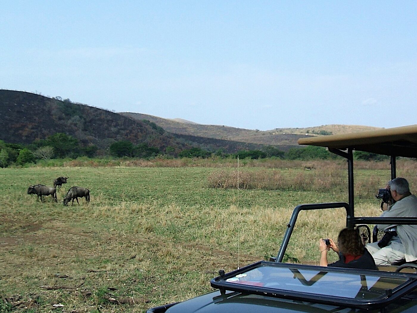 Safari guide leading a game drive in an open vehicle