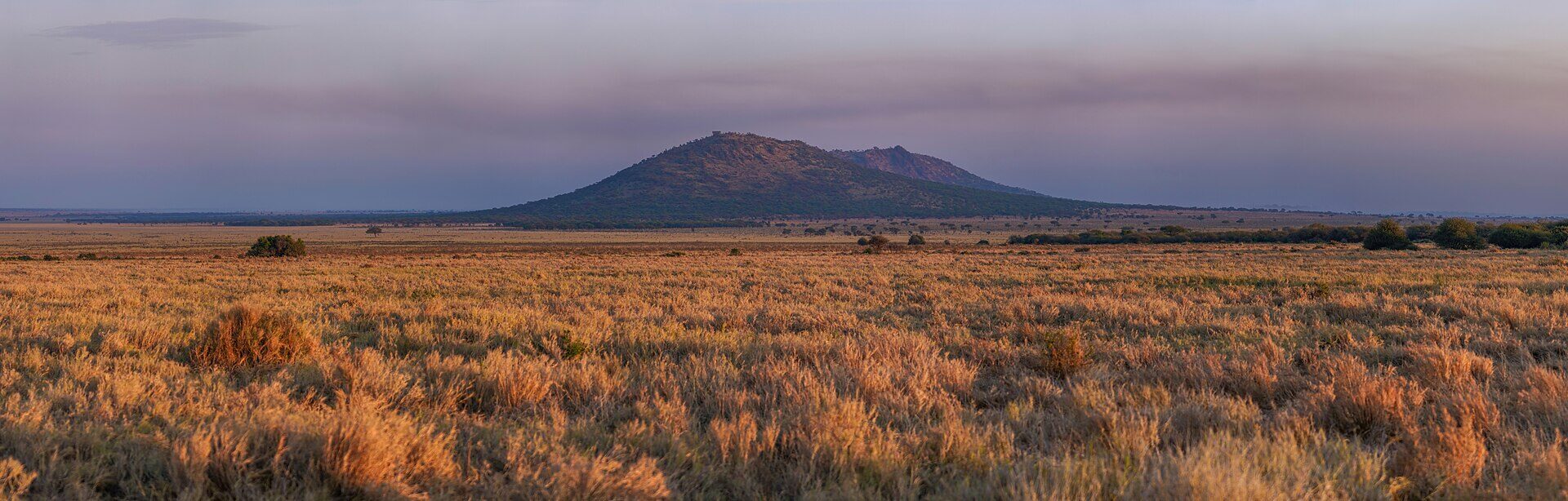 Sunrise over the Serengeti savanna in East Africa